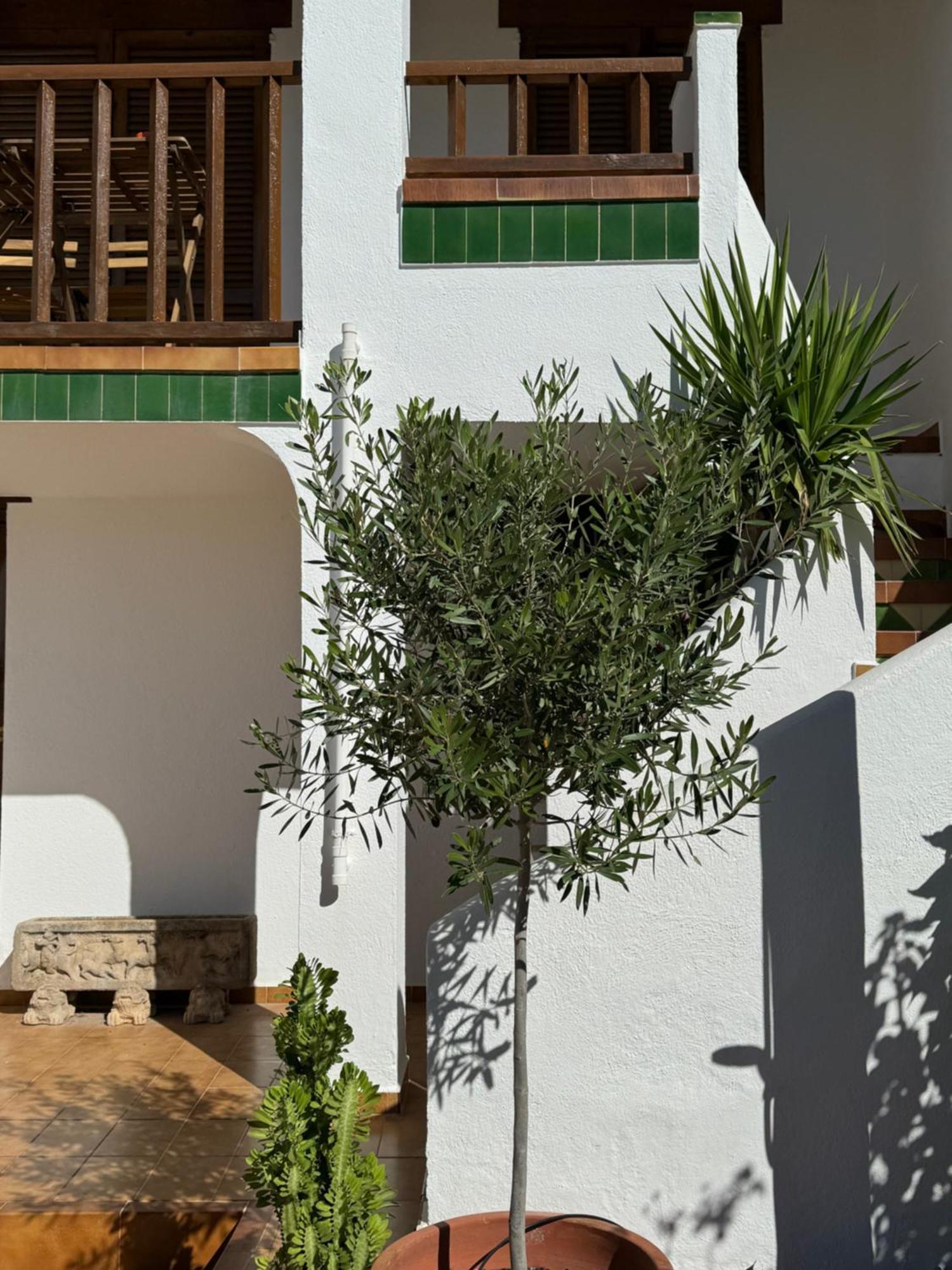 Espectacular Sunny House In The Beach Cunit Exterior foto
